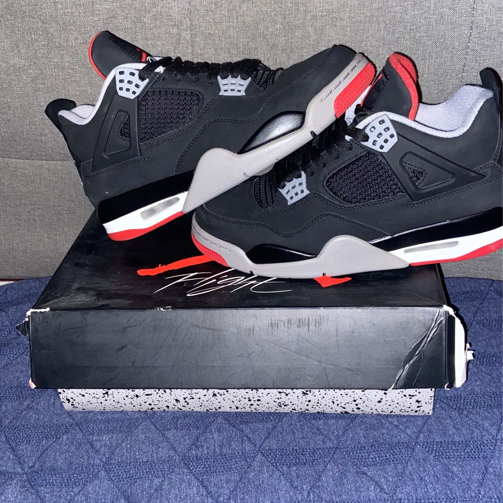 Jordan Bred 4