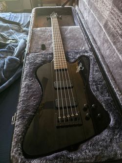 Epiphone 5 string thunderbird