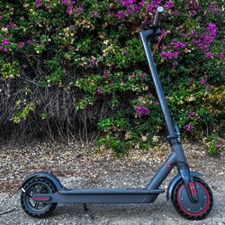 Electric scooter