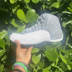 Jordan 12 Stealth 