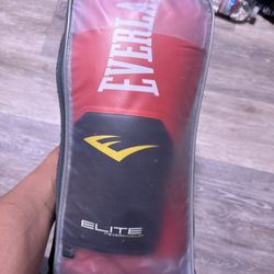 Everlast Boxing Gloves 