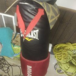 Everlast Mma 50 Lb Boxing Bag