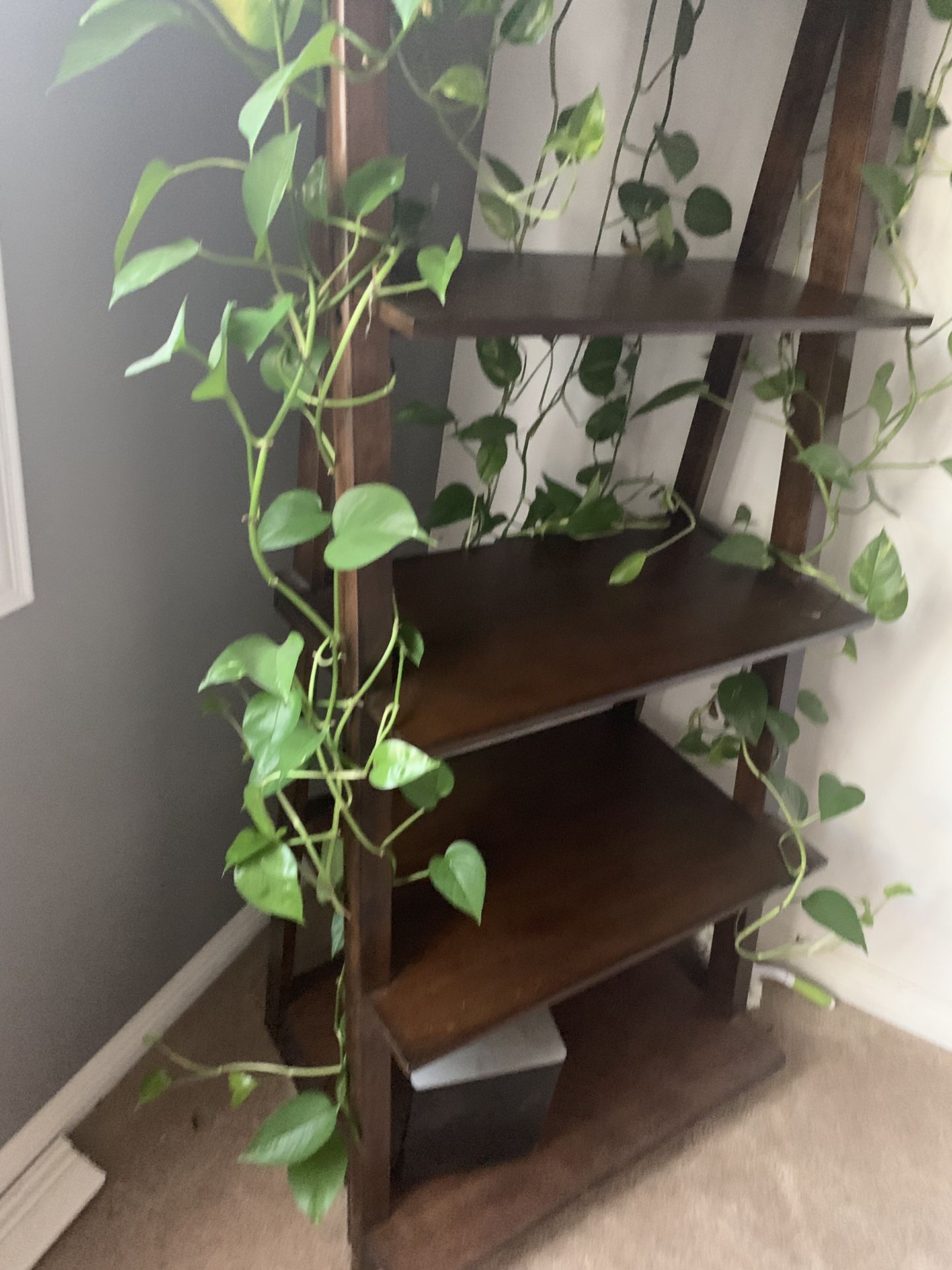 Ladder Shelf