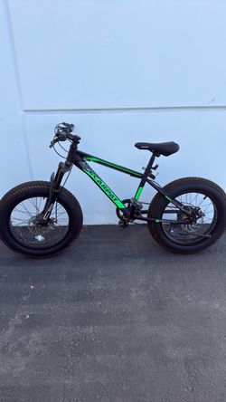 Ecarpat Nunu 20” Mountain bike