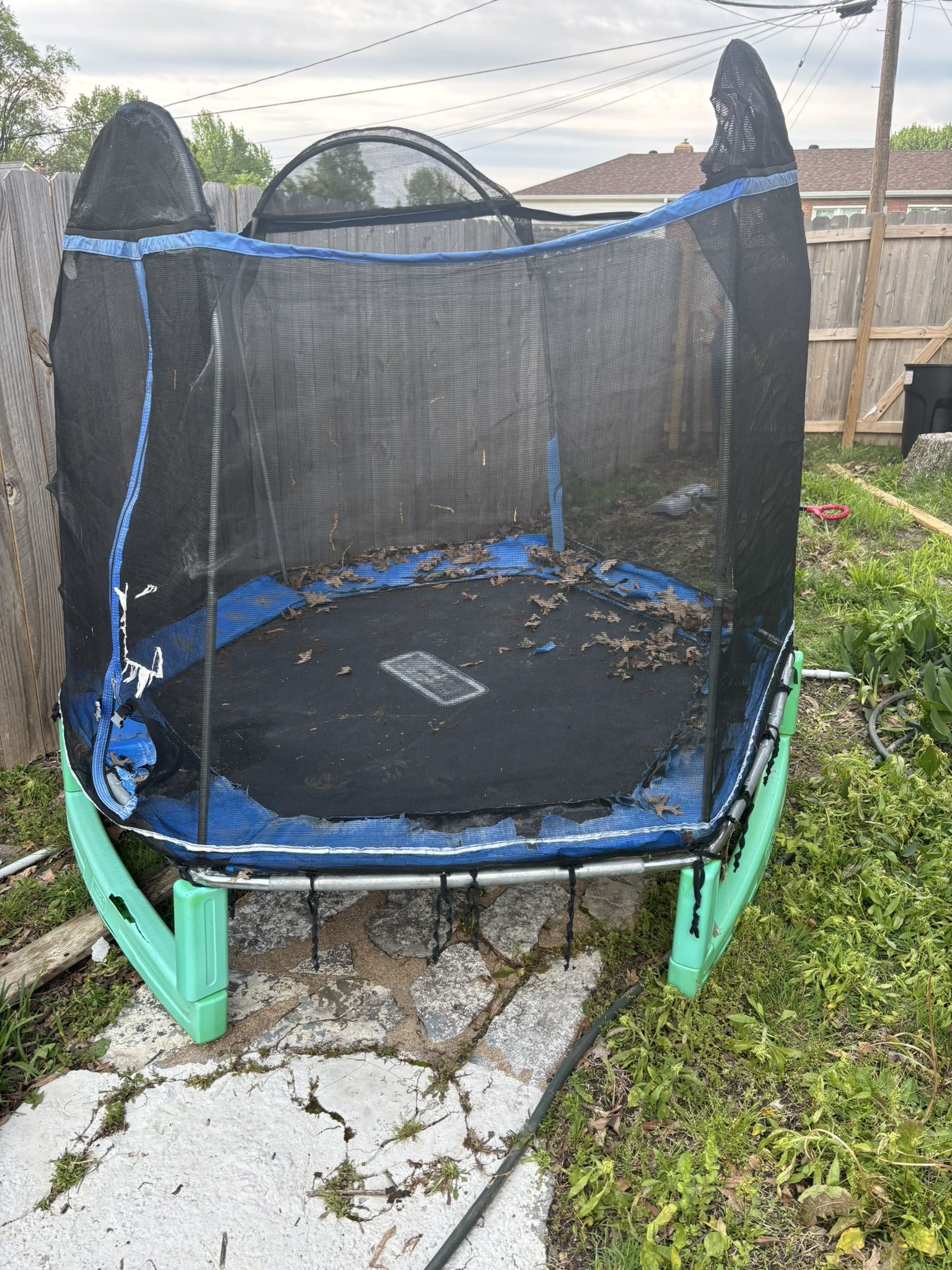 Trampoline