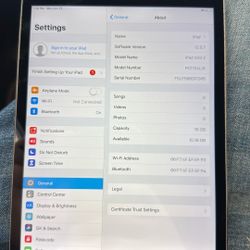 iPad Mini 2