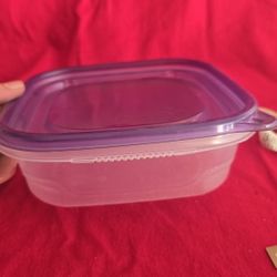 Plastic Container