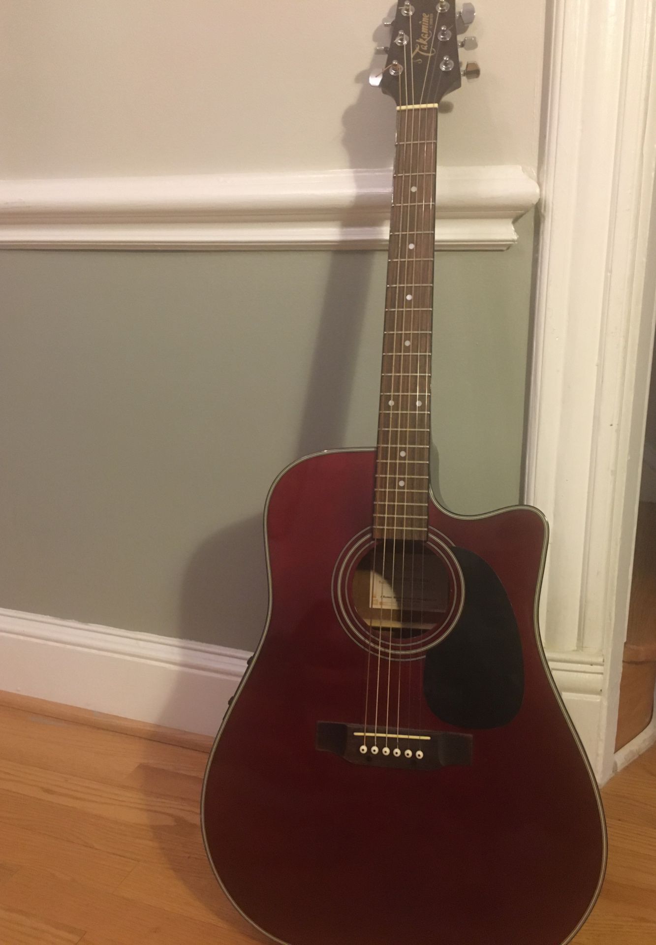 Takamìne Acoustic Guitar 6 String