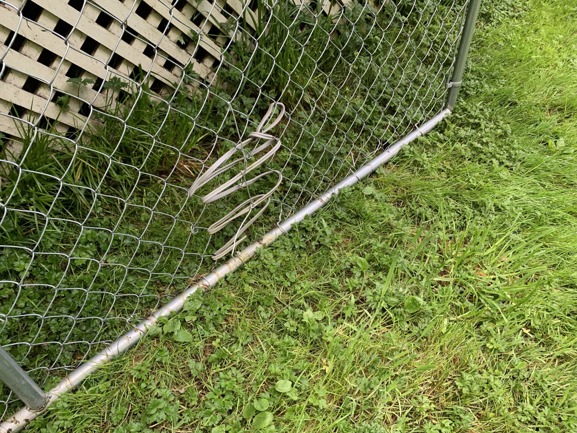 Chain Link Dog Run / Kennel, 10’ x 10’ x 6’ for Sale in Port Orchard