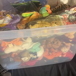 Box Of Beanie Babies 