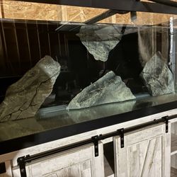 Fish Tank With Stand