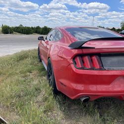 Mustang For Sale 