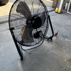 Fan