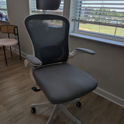 Office Chair (Moving Sale)