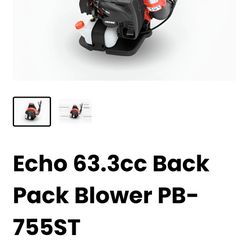Powerful Echo Backpack Blower 