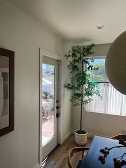 7.5 ft Realistic Olive Tree