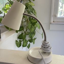 Desk Lamp