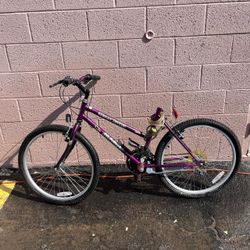 Purple Magna Great Divide Bicycle