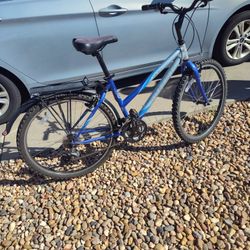 trek 800 Sport