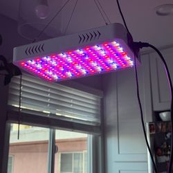 Grow light