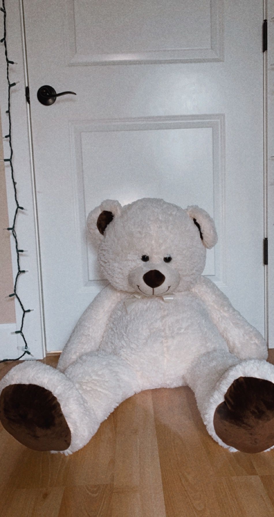 Medium size teddy bear