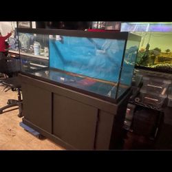 75 Gallon Fish Tank 