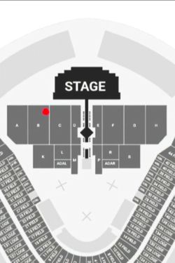 Fuerza Regida floor seats