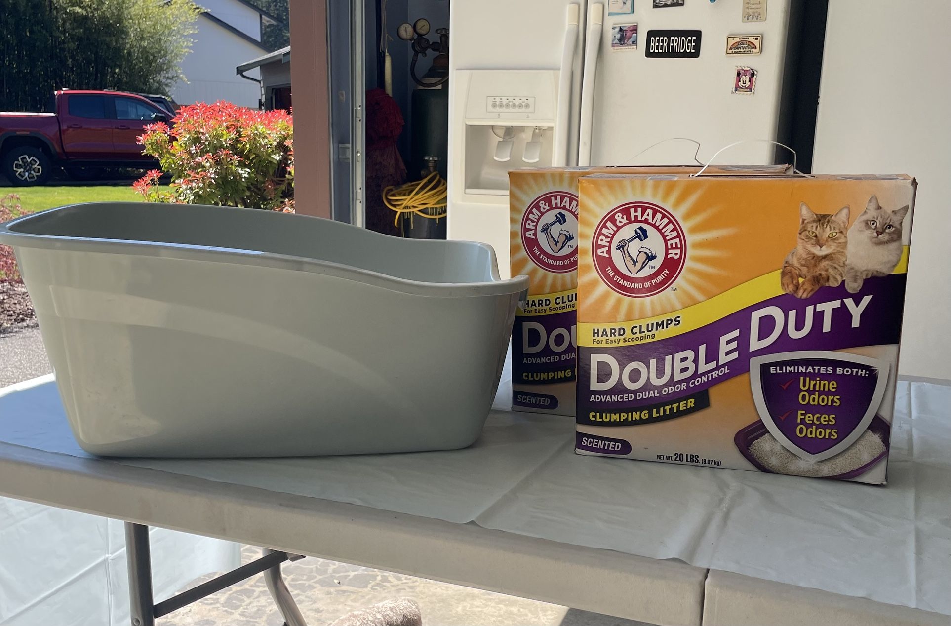 Cat Box And Cat Litter