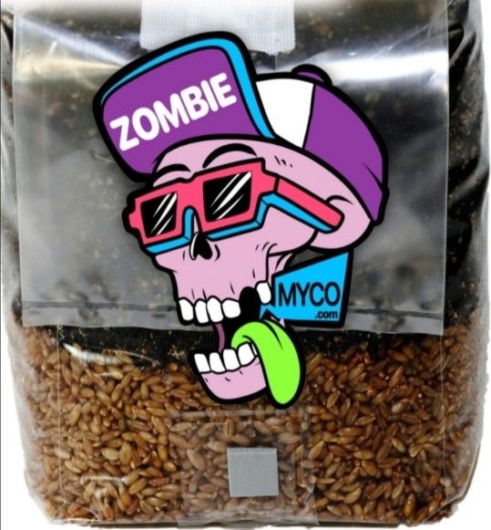 Mini Mushroom Growing Kit