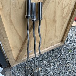 Olympic Curl Bars 