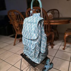 Rolling Shopping Cart with Bag – $30. Clean and in good condition.