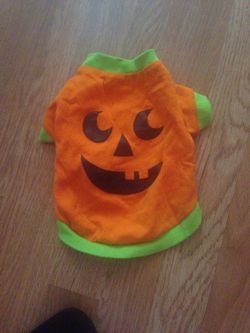 Dog costume for little dog size S