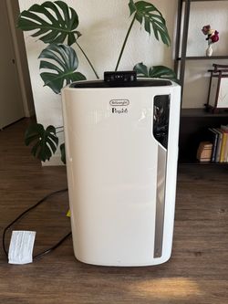 DeLonghi Pinguino Portable AC