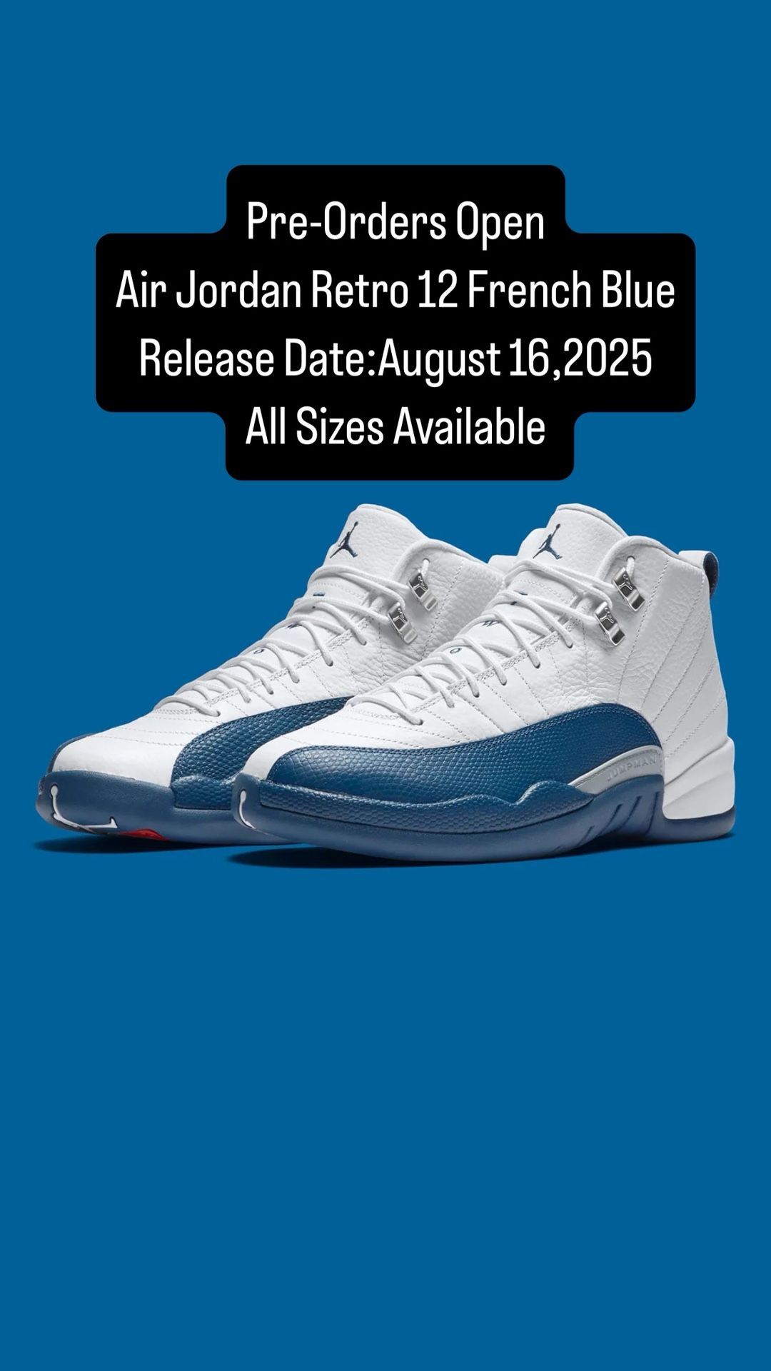 Air Jordan Retro 12 French Blue
