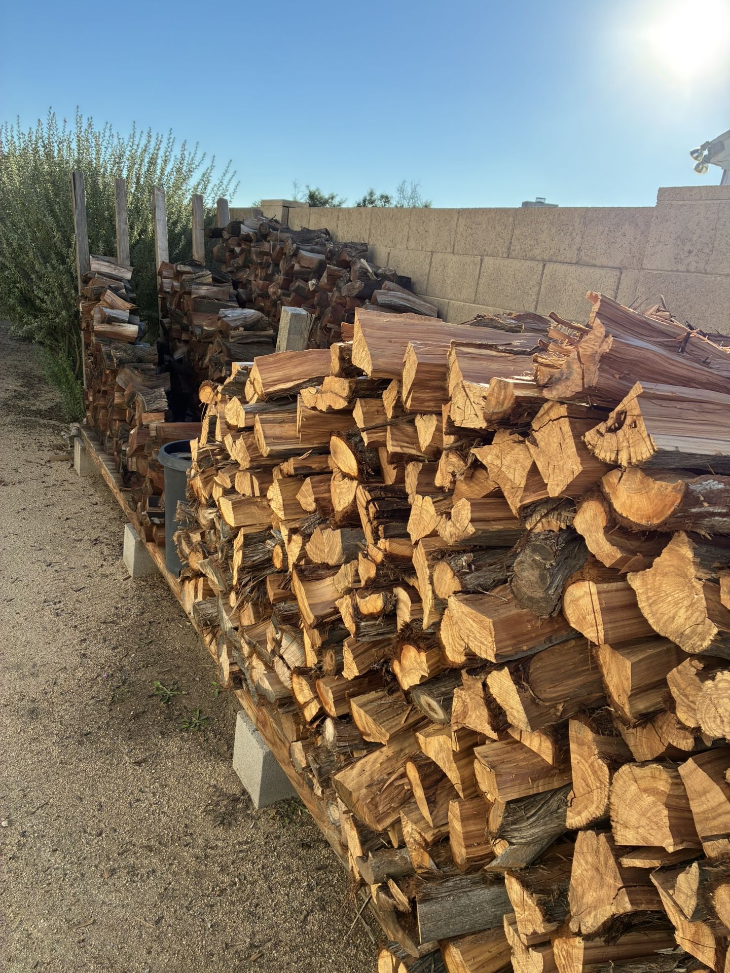 Firewood