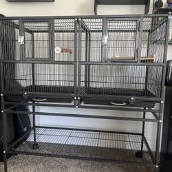 Bird Cage