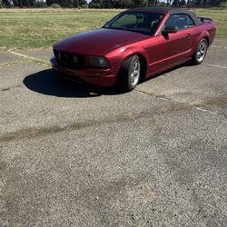 2005 Mustang Gt