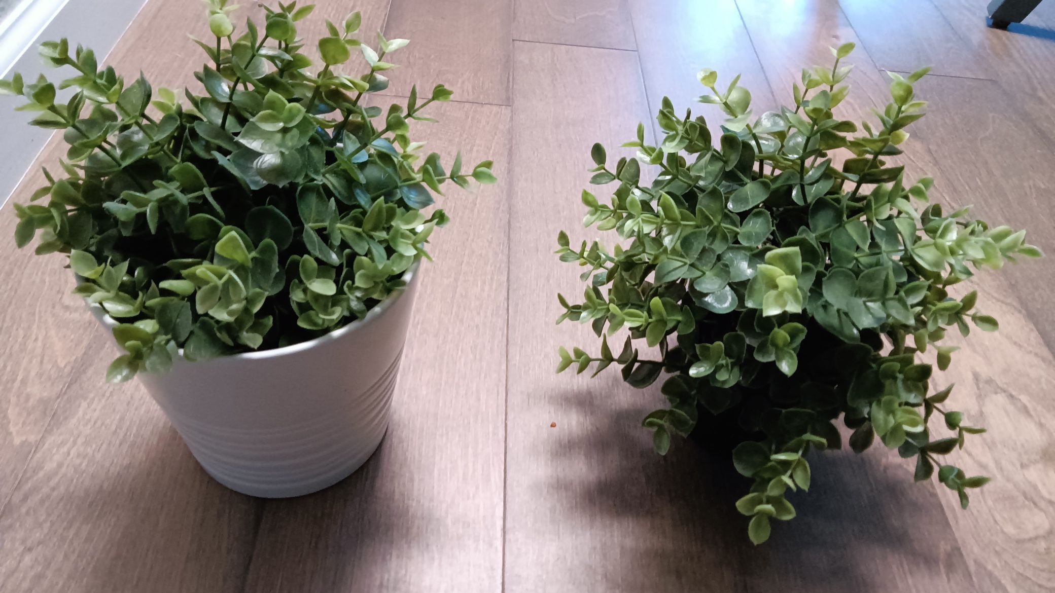 Artificial Plants