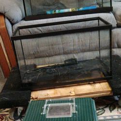 2 -20gallon Tanks,1-10 gallon And 1 smaller All Supplies 
