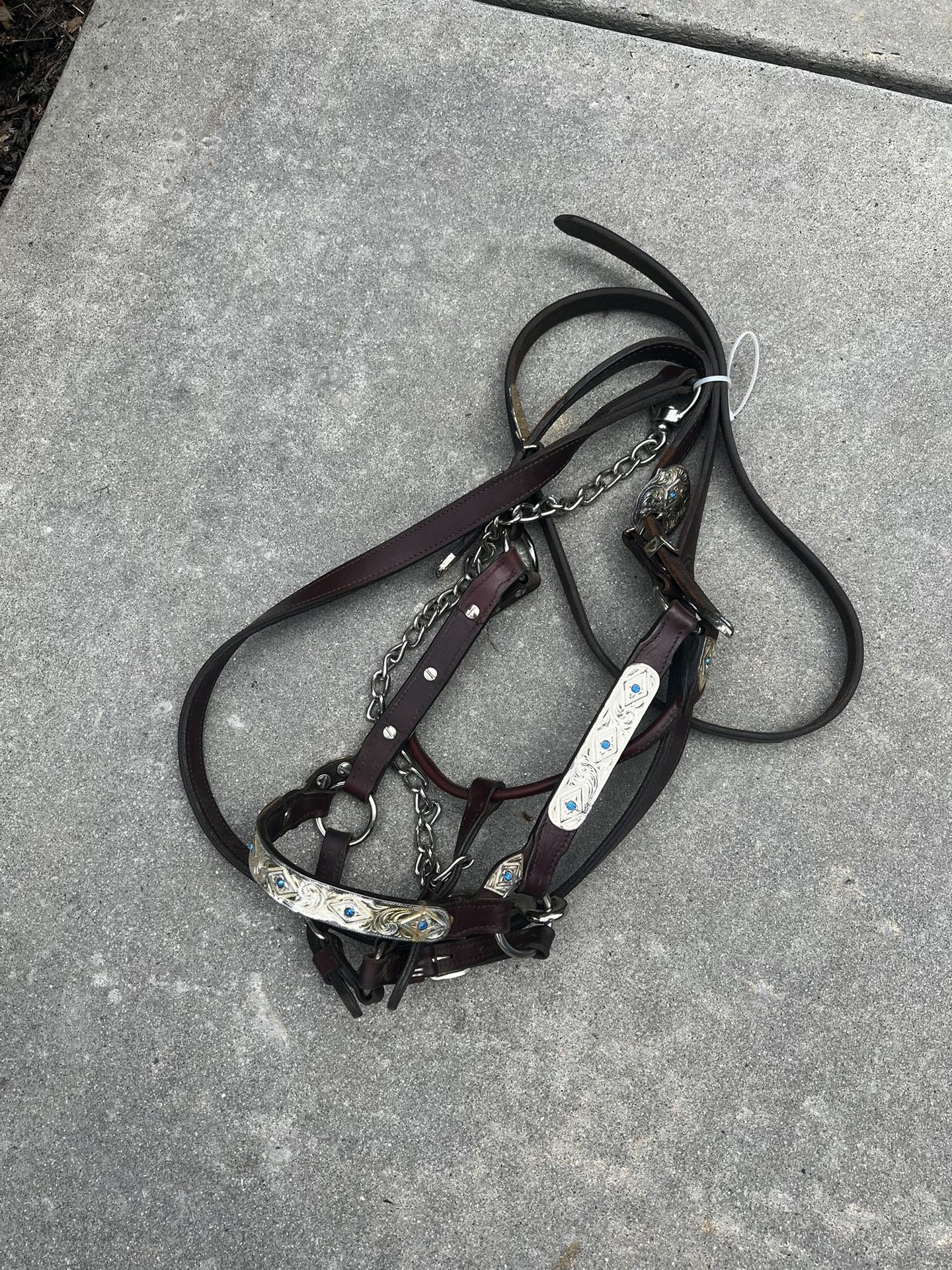 Newer Silver And Leather Show Halter