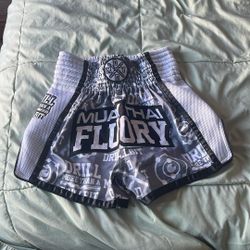 Muay Thai Shorts 