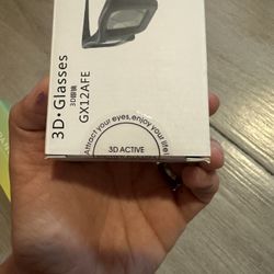 3D Glasses