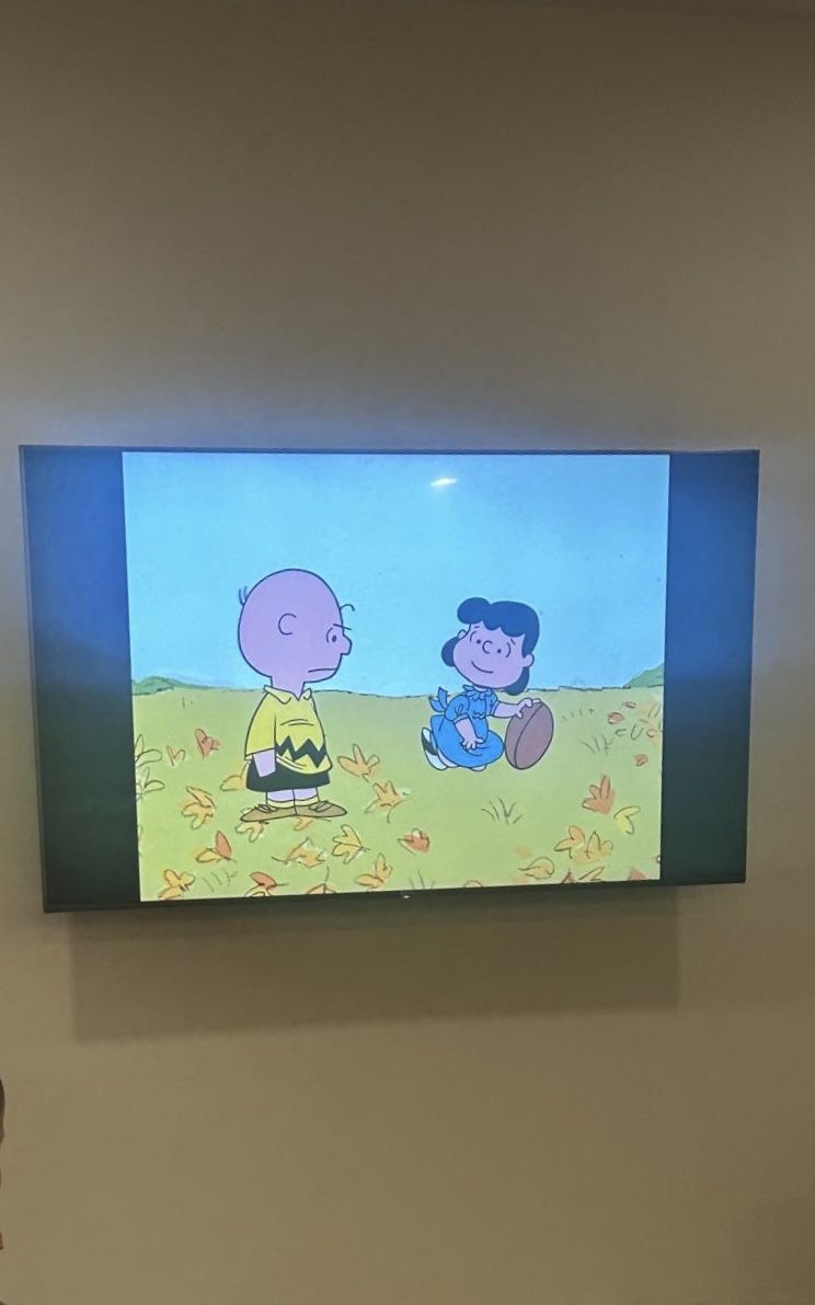 Sony 65’’ LED TV