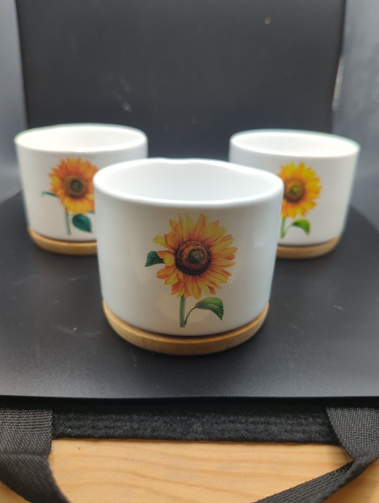 Set Of 3 Sunflower Pots