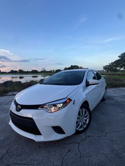 Toyota Corolla Sedan White