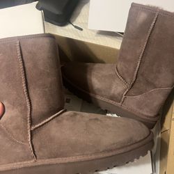 brown uggs size W8