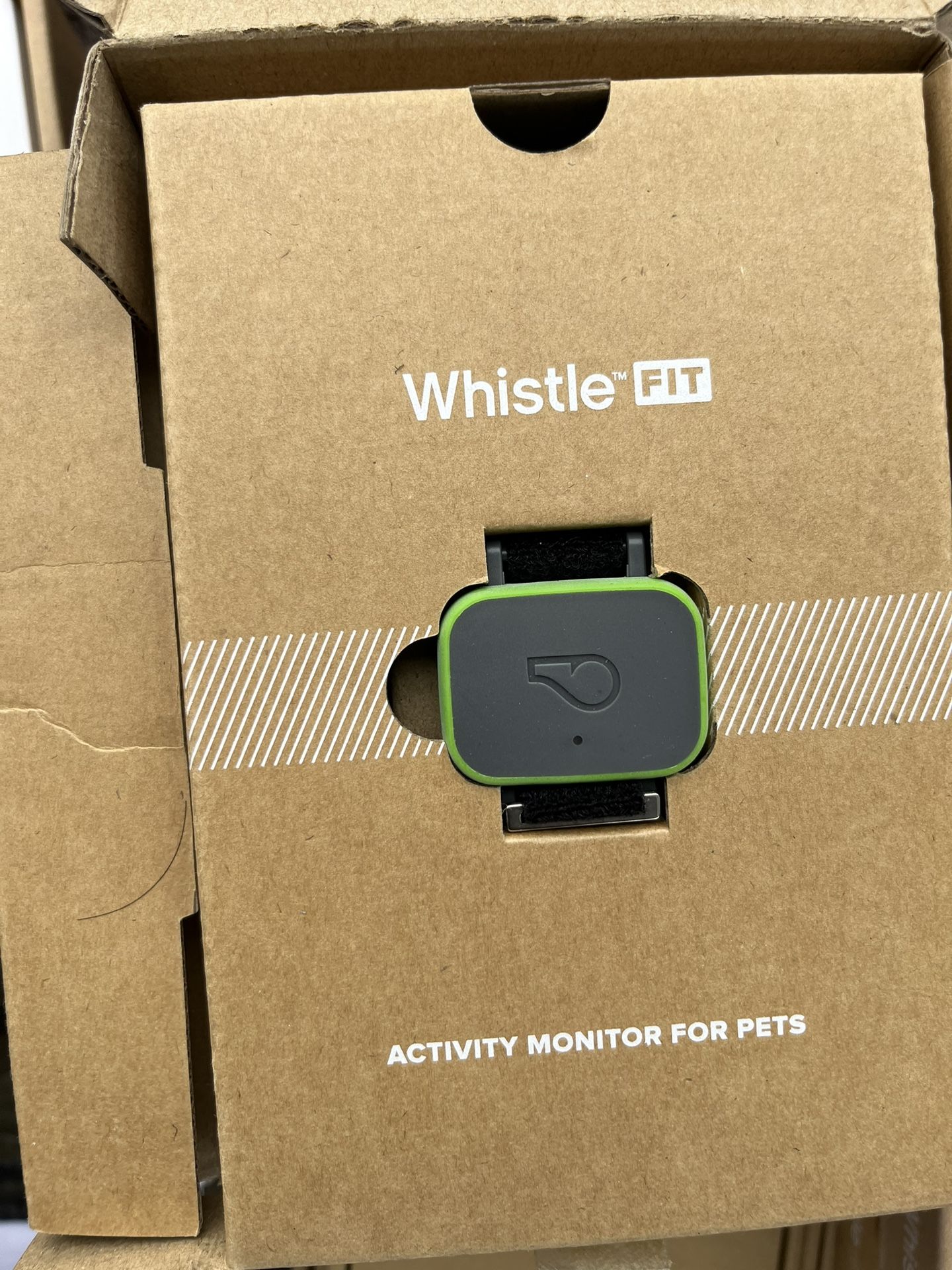 Whistle Fit