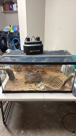 Reptile Tank with ReptiTrio Dual Lamp Hood