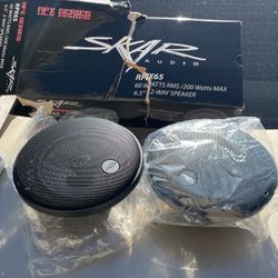 Car door speakers 