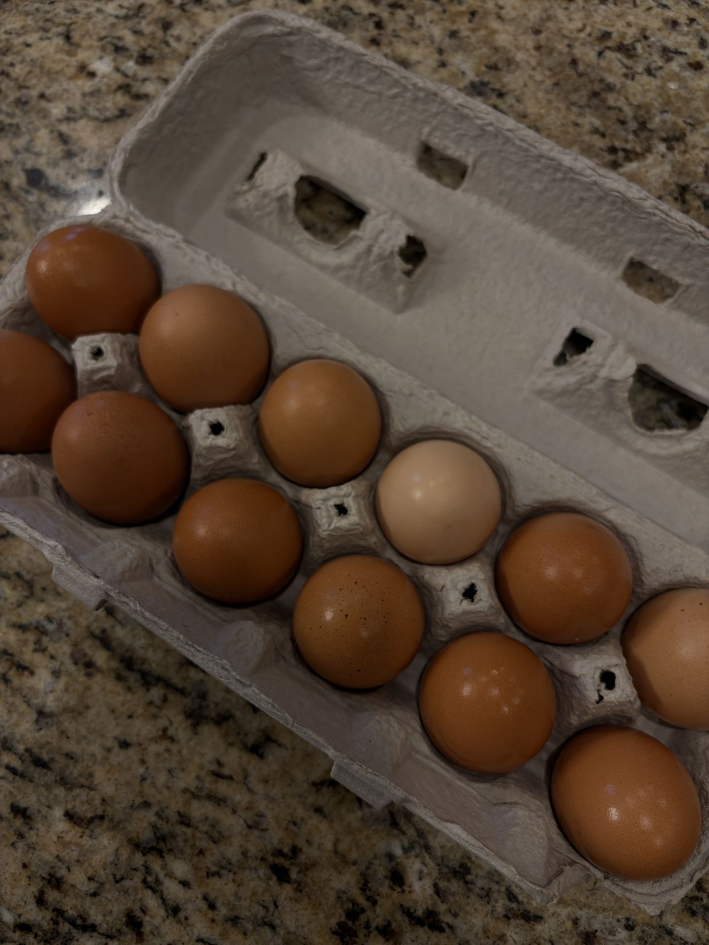Chicken Eggs